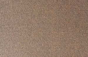 carpet gray (9)