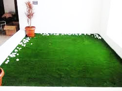 indoorgrass (9)
