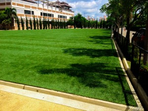 landscaping green (26)