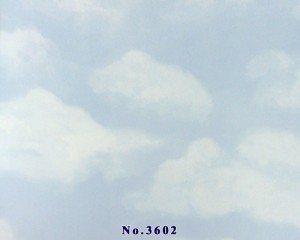 natural sky blue (5)