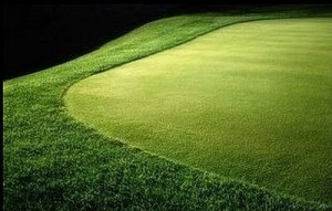 putting green (10)